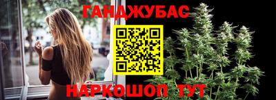 гашик Жуковский