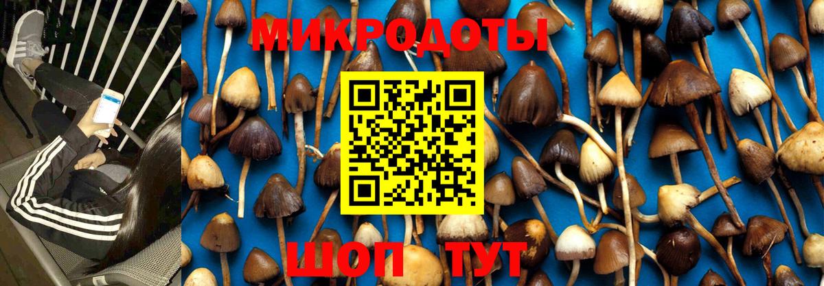 Псилоцибиновые грибы GOLDEN TEACHER Заречный